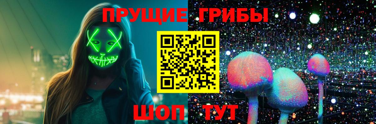 Псилоцибиновые грибы Psilocybine cubensis Арсеньев