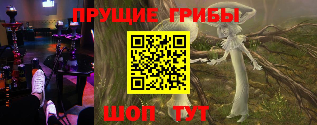Галлюциногенные грибы ЛСД  Вход с VPN  Арсеньев  Псилоцибиновые грибы Psilocybe 